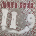 Datura Seeds EP cover