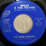 Shake a Tail Feather 45