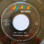 Mushroom Farm 45 "Why Can't I See" on Gigantic Records
